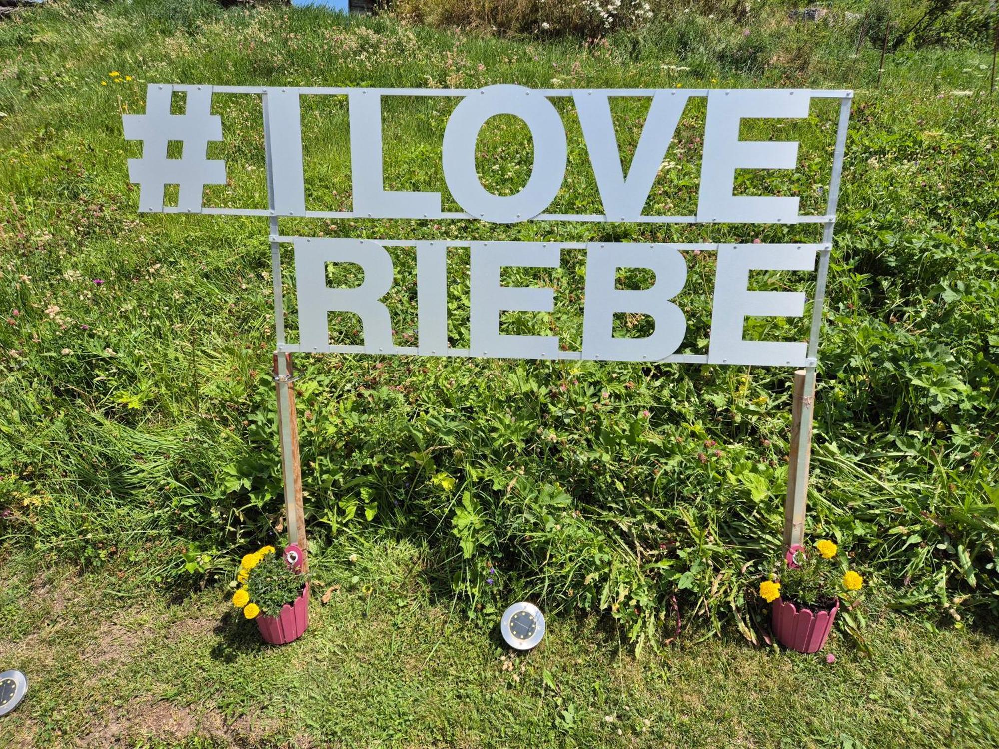 Riebe 331 Apartman Grächen Kültér fotó