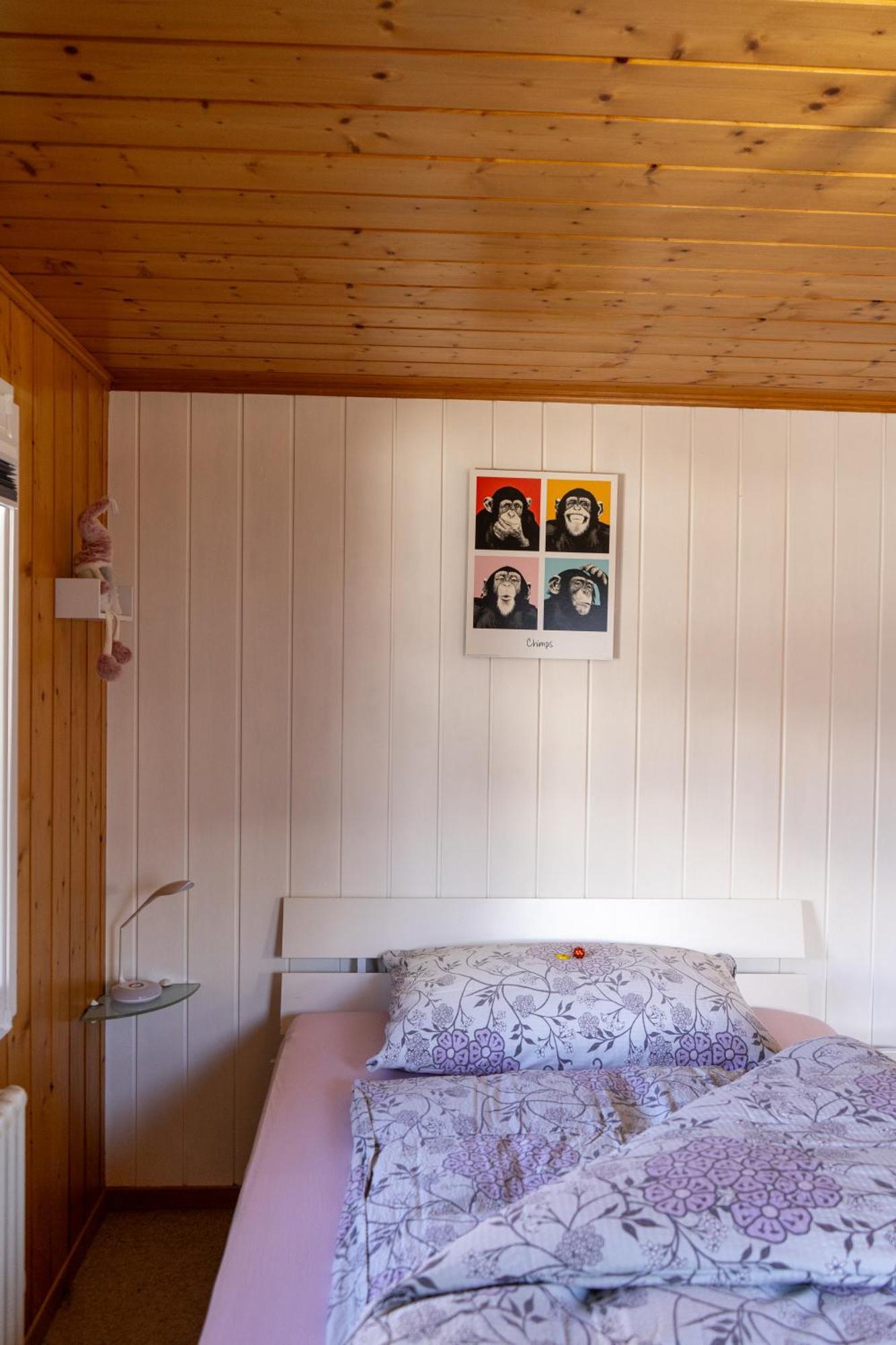 Riebe 331 Apartman Grächen Kültér fotó
